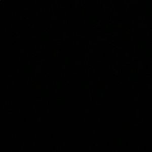 Meet your Posher, Sammy